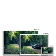 Load image into Gallery viewer, Tourbillon Bamboo Forest 2 Framed Print
