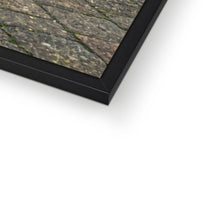 Load image into Gallery viewer, Dakar Horse 2 Framed Print
