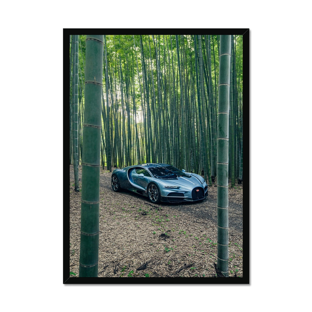 Tourbillon Bamboo Forest Framed Print