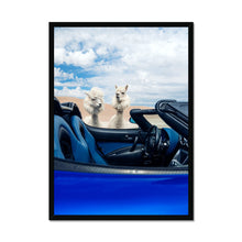 Load image into Gallery viewer, image3
