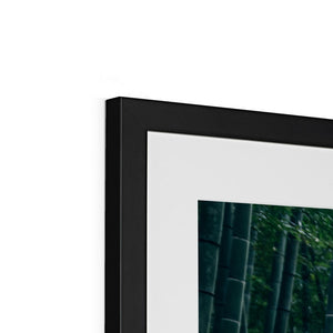Tourbillon Bamboo Forest 2 Framed & Mounted Print