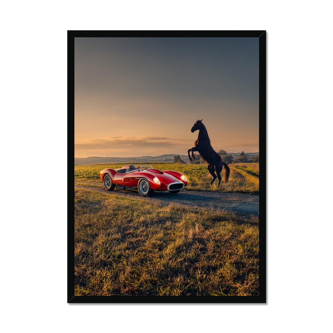 250 TR Horse Framed Print