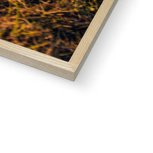 Load image into Gallery viewer, 250 TR Horse Framed Print
