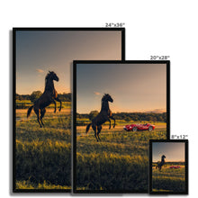 Load image into Gallery viewer, 250 TR Horse 2 Framed Print
