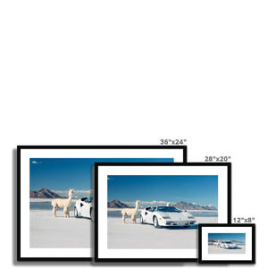 Countach Alpacas Landscape Framed & Mounted Print