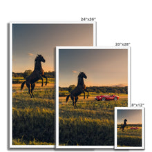 Load image into Gallery viewer, 250 TR Horse 2 Framed Print
