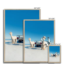 Load image into Gallery viewer, Alpacaghini Framed Print
