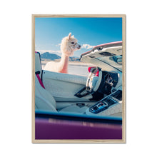 Load image into Gallery viewer, Aventador Alpaca Framed Print
