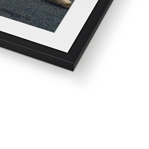 Jaguar D-Type Framed & Mounted Print