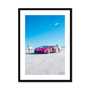 Liberty Walk Alpacas 2 Framed & Mounted Print