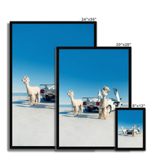 Load image into Gallery viewer, Alpacaghini Framed Print

