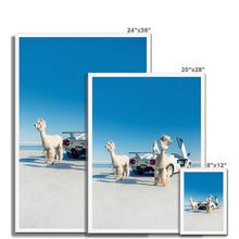 Load image into Gallery viewer, Alpacaghini Framed Print
