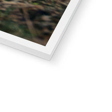 Load image into Gallery viewer, Minty Framed Print
