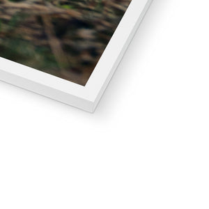 Minty Framed Print