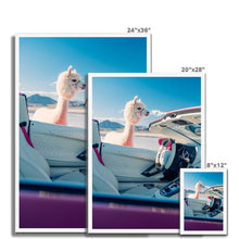 Load image into Gallery viewer, Aventador Alpaca Framed Print
