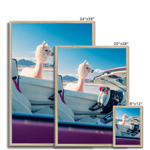 Load image into Gallery viewer, Aventador Alpaca Framed Print
