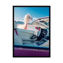 Load image into Gallery viewer, Aventador Alpaca Framed Print
