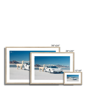 Countach Alpacas Landscape Framed & Mounted Print