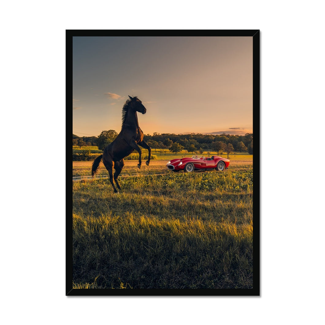 250 TR Horse 2 Framed Print
