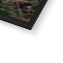 Load image into Gallery viewer, Minty Framed Print
