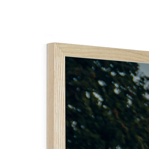 F40 & 959 Framed Print