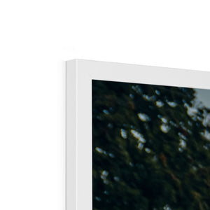 F40 & 959 Framed Print