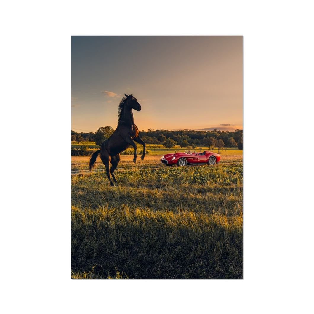 250 TR Horse 2 Photo Art Print
