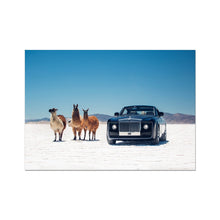 Load image into Gallery viewer, Sweptail Photo Art Print
