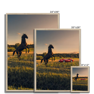 250 TR Horse 2 Framed Print